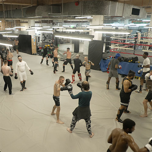 Start training for your event